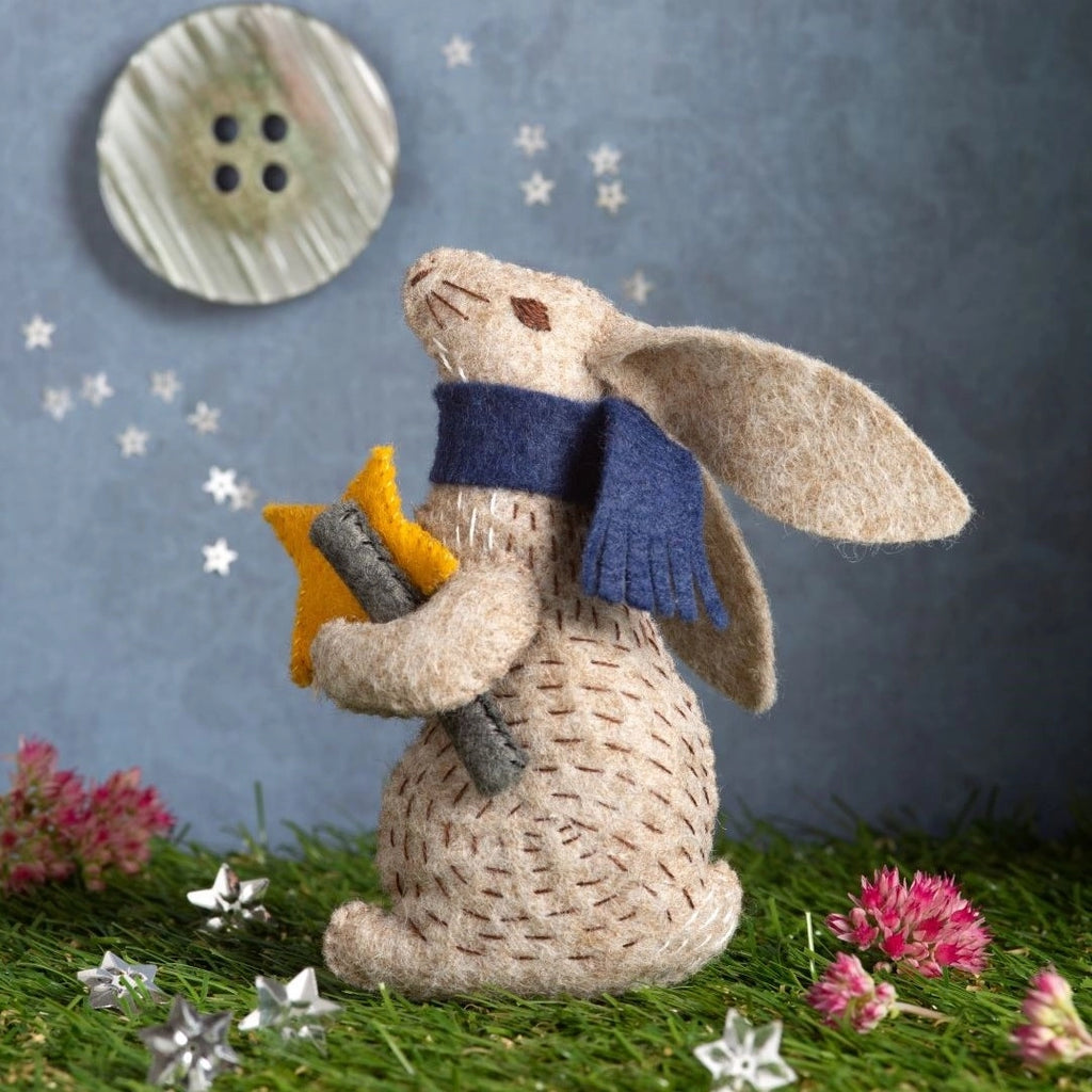 Corinne Lapierre Felt Ornament Kit- Professor Share Stargazer