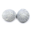 Art Floral Trading- Sea Shell Salt & Pepper Shaker, from above