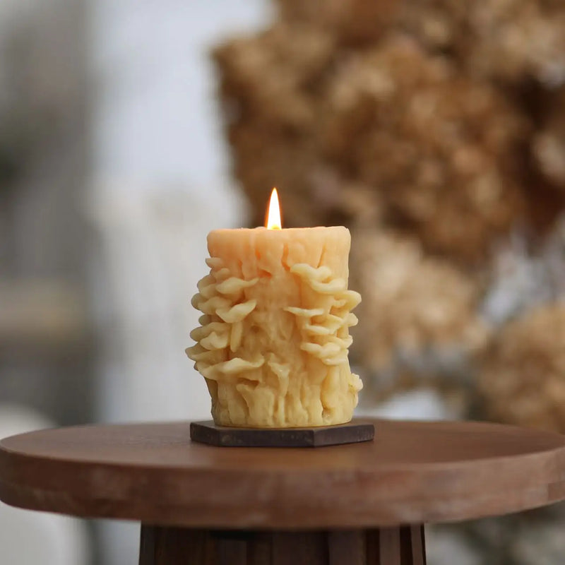 Mushrooms - Beeswax Candle
