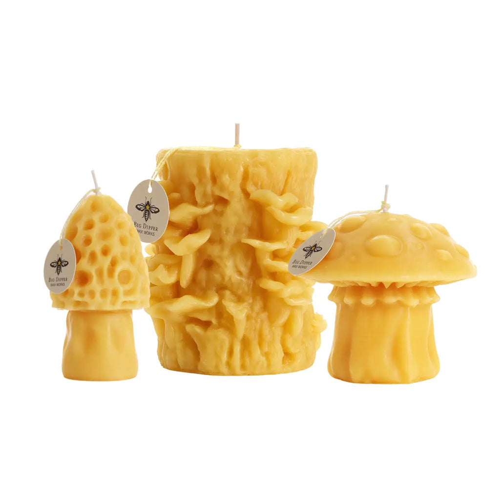 Mushrooms - Beeswax Candle