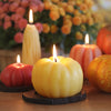 Pumpkin - Beeswax Candles