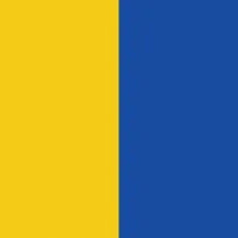 Blue/Yellow