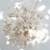 Porcelain Diffuser Bamboo Stick