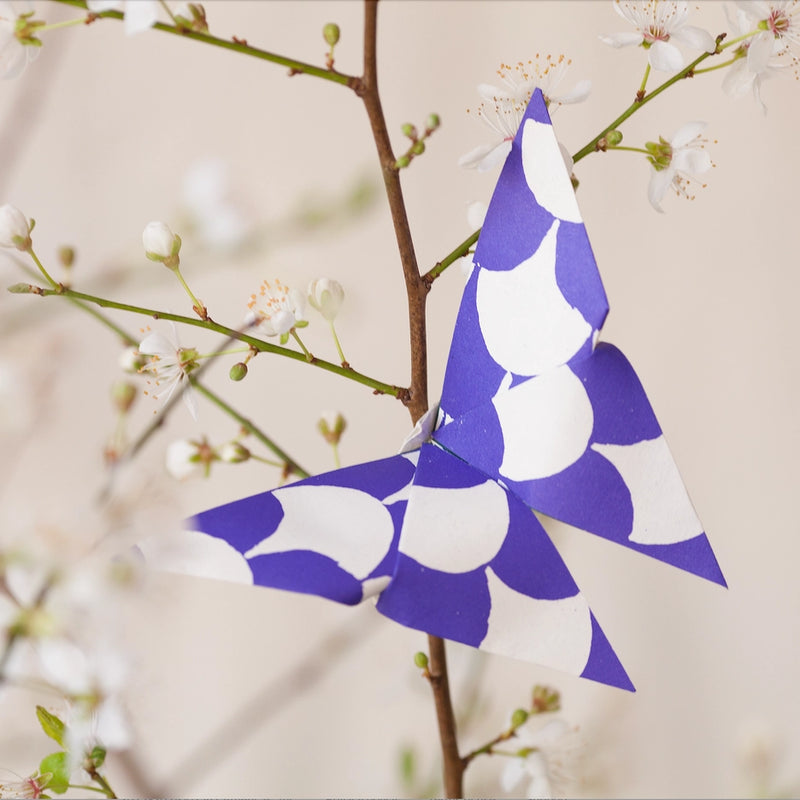 Origami Kit- Cloud of Butterflies