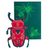 East End Press- Beetle Card