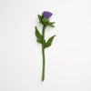 Felt Thistle Flower
