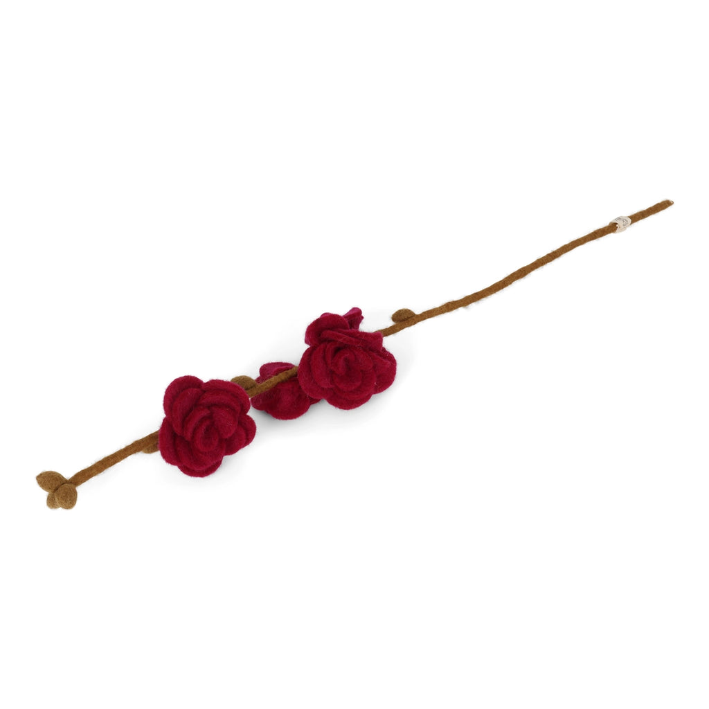 Cherise Roses Branch