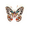 Lime Swallowtail Butterfly Brooch