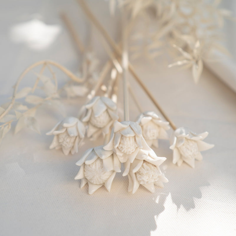 Porcelain Diffuser Bamboo Stick
