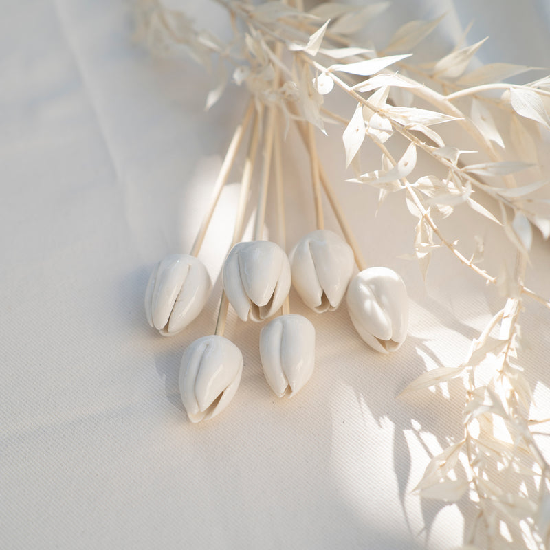 Porcelain Diffuser Bamboo Stick