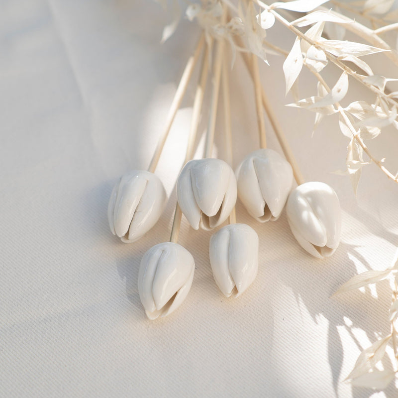 Porcelain Diffuser Bamboo Stick