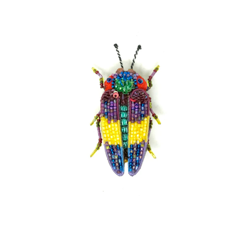 Rebbie's Jewel Beetle Brooch