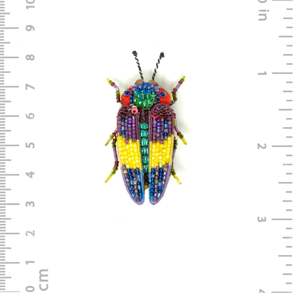 Rebbie's Jewel Beetle Brooch