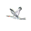 Sandhill Crane Brooch