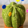 Corinne Lapierre- Felting Kit Pin Cushion Cactus.
