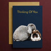 Occasion Greeting Cards - Animals