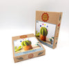 Corinne Lapierre- Felting Kit Pin Cushion Cactus.