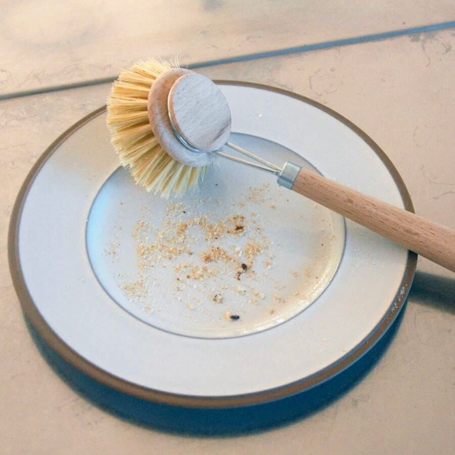 Dish Brush & Replacement Head