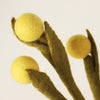 Global Goods Partners Felt Billy Buttons Flower- yellow