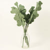 Global Goods Partner Felt Eucalyptus leaves.