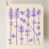 Kei & Molly Sponge Cloth with Lavender Sprigs Design in Lilac