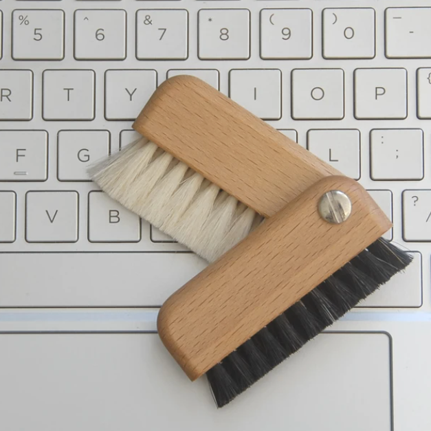 Computer/Laptop Brush