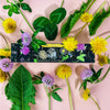 Sow The Magic Abundance Moon Phase Planting Set