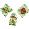 Bees Wrap, reusable food wrap, lunch pack, forest floor print