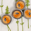 NM Green Chile Salve