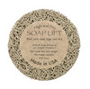 Soap Lift: Round-A-Bout